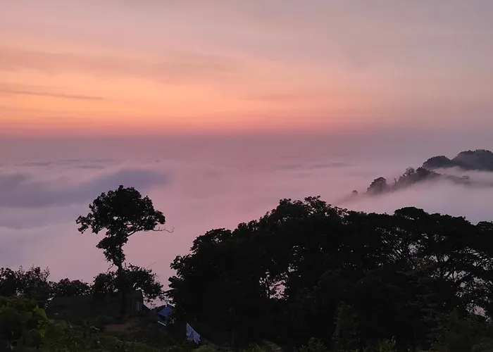 Minca Sintropia - Sustainable Lodge & Organic Coffee Finca