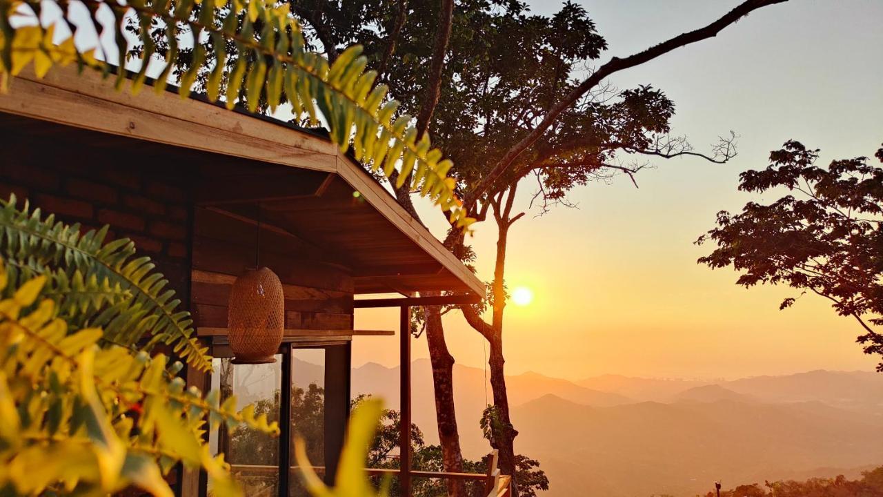 Sintropia - Sustainable & Organic Coffee Bed & Breakfast Minca