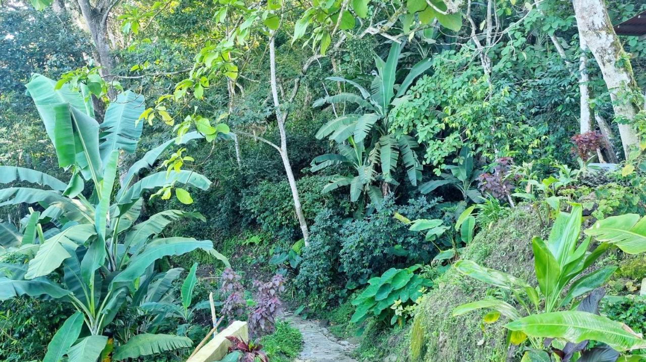 Bed & Breakfast Sintropia - Sustainable & Organic Coffee