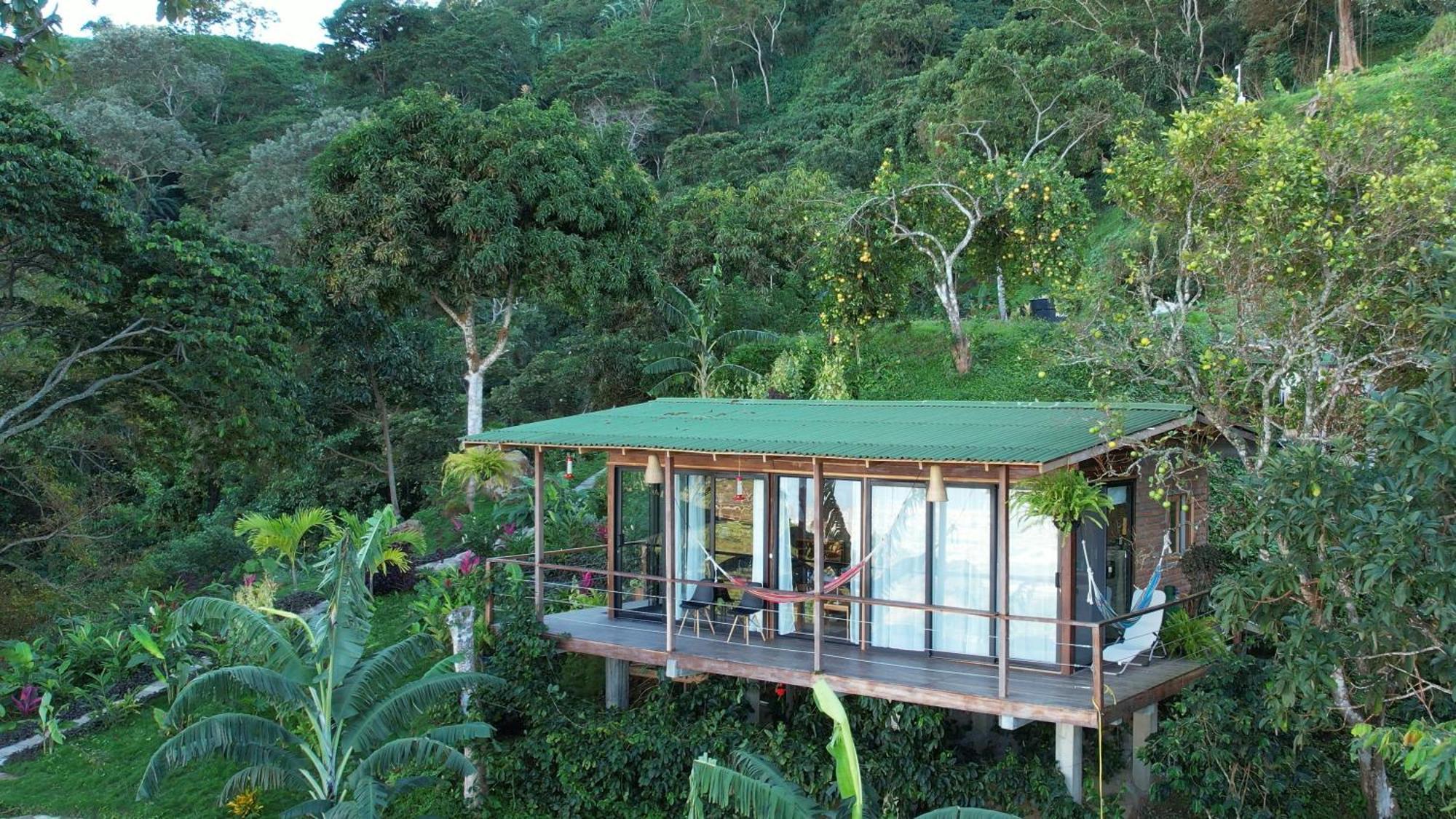 Sintropia - Sustainable & Organic Coffee