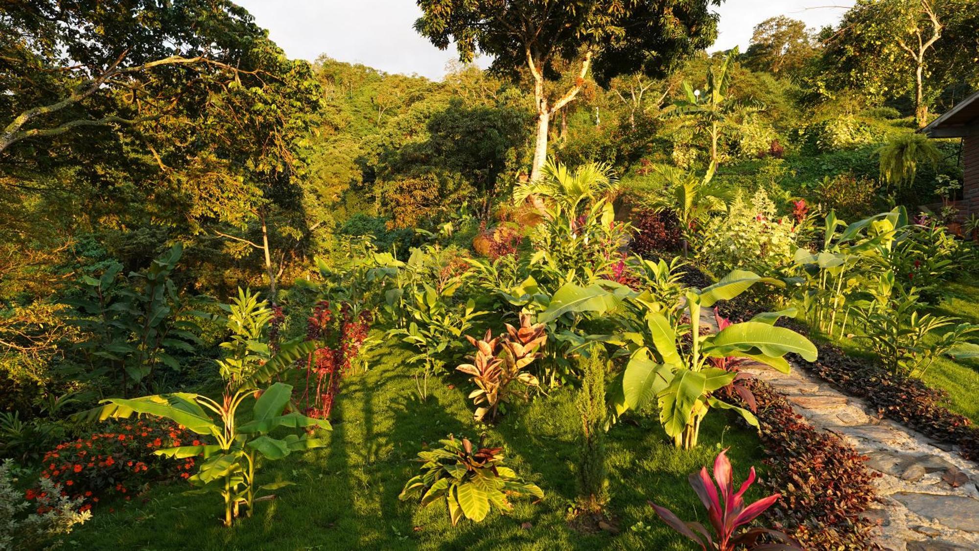 Sintropia - Sustainable & Organic Coffee Bed & Breakfast *