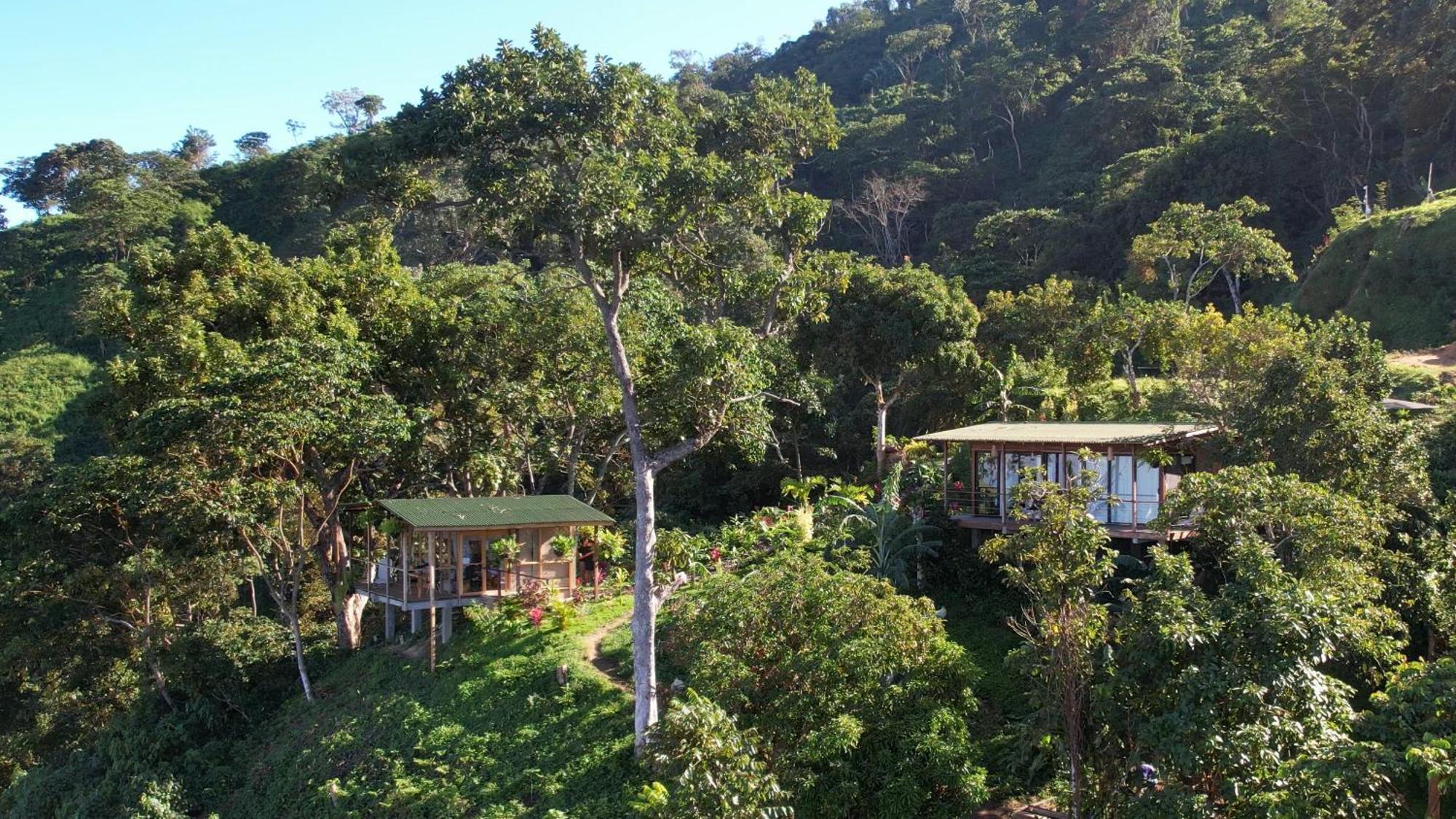 Bed & Breakfast Sintropia - Sustainable & Organic Coffee