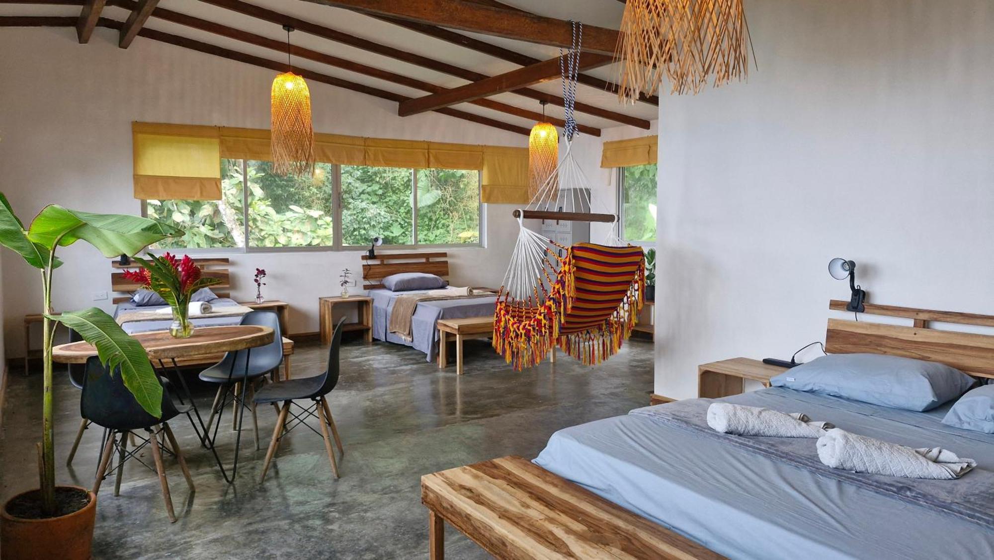 Bed & Breakfast Sintropia - Sustainable & Organic Coffee Minca