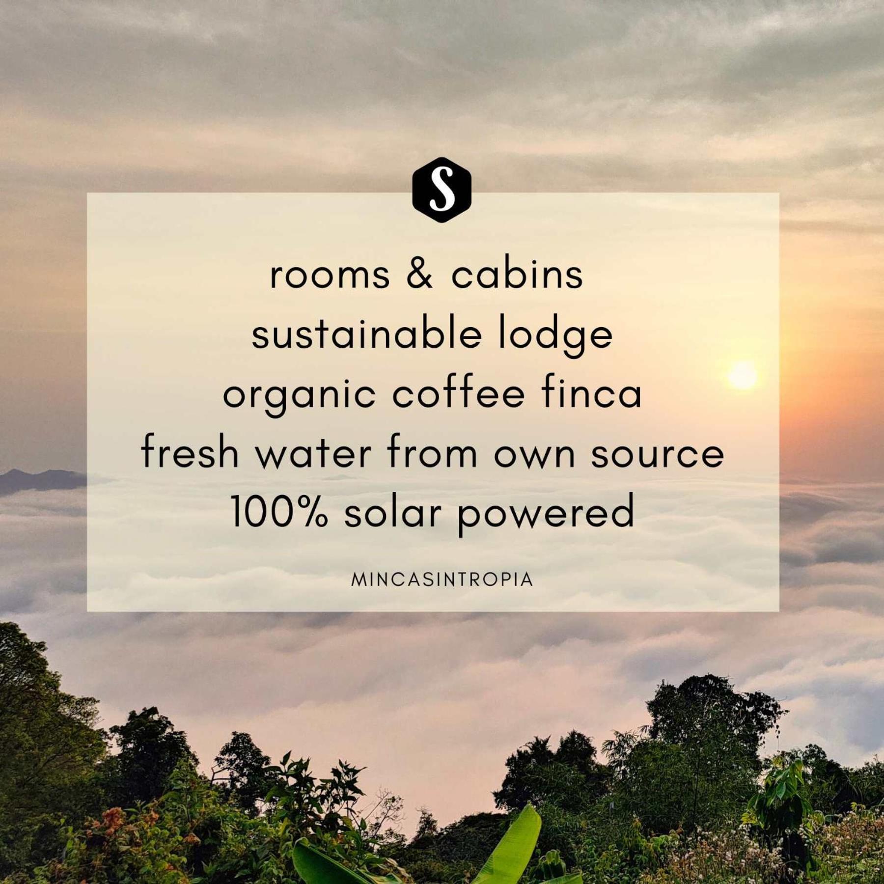Sintropia - Sustainable & Organic Coffee *